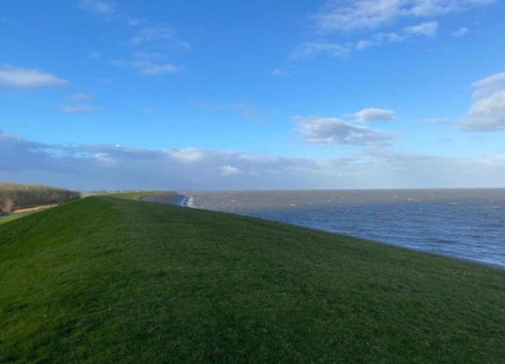 View from property 5, Docklodge Stay by the Water, Lemsterland