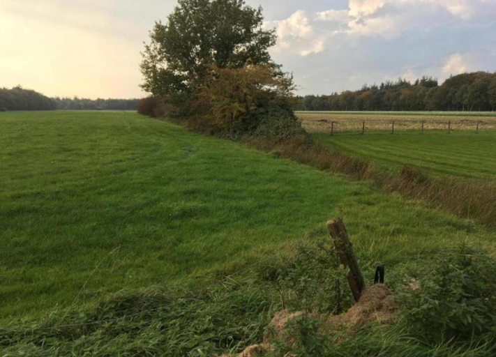 View from property 4, Home in Sint Nicolaasga, Skarsterlân