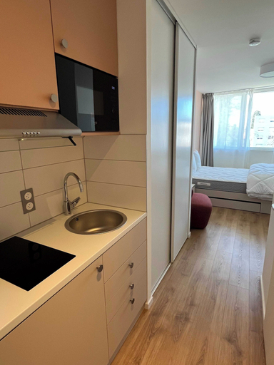 Room 3, Comfort Studio in Premium Residence- Sport/cinema, Haut-Rhin