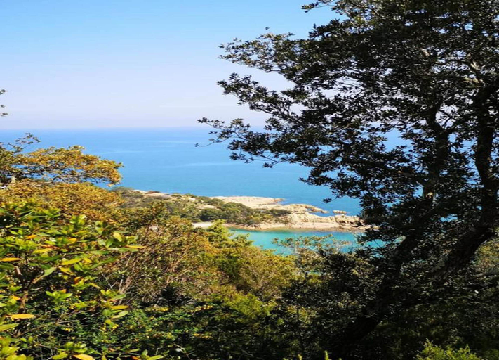 View from property 4, Cottage in Corsica With Garden Terrace, Corse-du-Sud