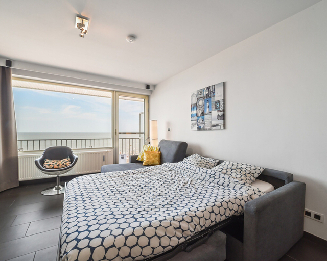 Room 5, Spacious Studio With sea View, West-Vlaanderen