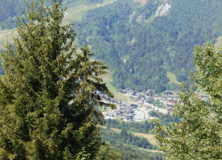 View from property 4, Apartment in Doucy With Mountain Views, Savoie