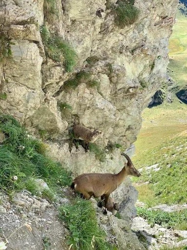 Others 2, La Carlina - logements entre lac et montagnes, Haute-Savoie