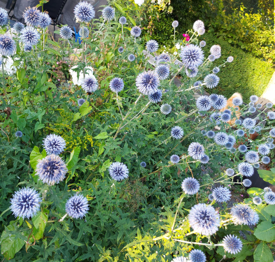 Others 2, B&B Geniet Natuurlijk, Westerveld