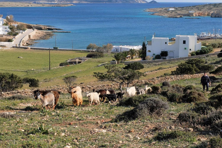 Others 3, Alkionides Studios, South Aegean