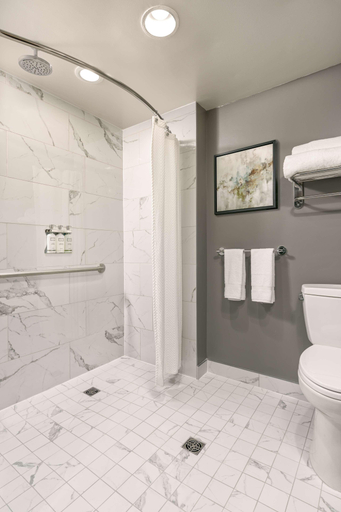 Bathroom 4, Georgian Court Hotel, Greater Vancouver