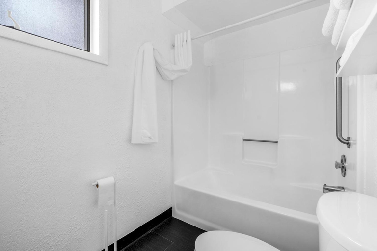 Bathroom 3, Starlite Resort, Allegan