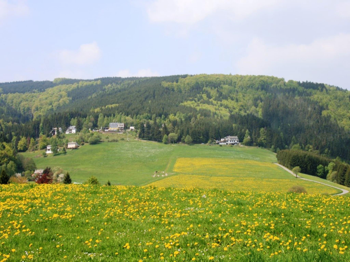 Others 5, Ferienwohnung bei Willingen mit eigener Terrasse, Waldeck-Frankenberg