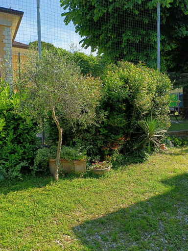 Others 4, B&B Porte Rosse, Brescia
