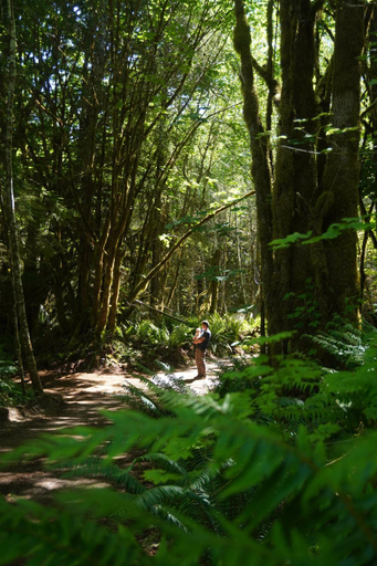 Others 4, Starlight Olympic Glamping, Clallam