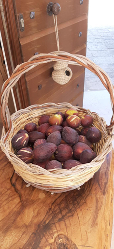 Food & Drinks 4, Antica Masseria Ficazzana - Tenuta, Lecce