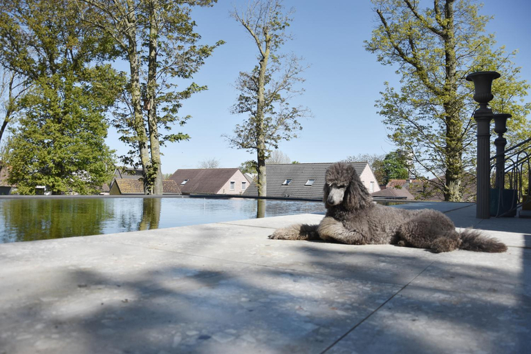 Others 5, Terp, West-Vlaanderen