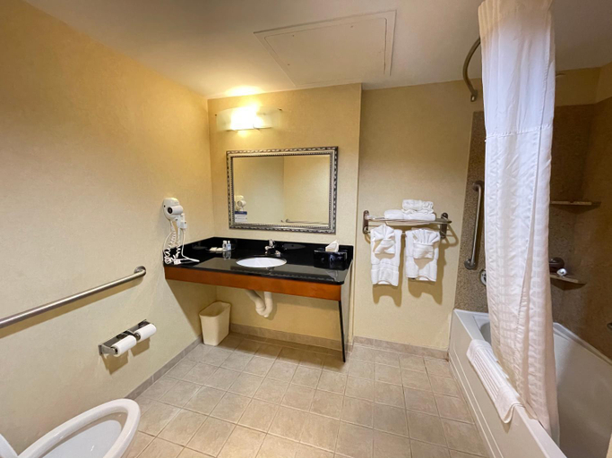 Bathroom 4, Comfort Suites Fredericksburg North, Stafford