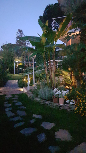 Others 5, Roma - Casalpalocco - Amipsia, Roma