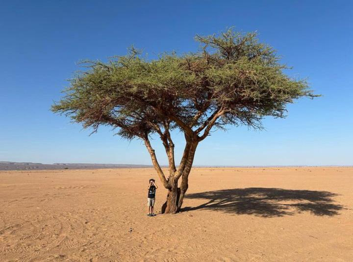2, Sahara wild camping, Ouarzazate