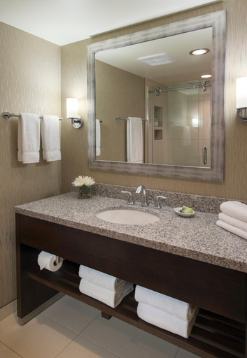 Bathroom 4, The Madison Concourse Hotel, Dane