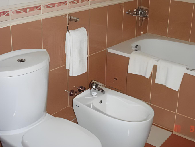Bathroom 5, "Bon Apart Hotel", Tomskiy rayon