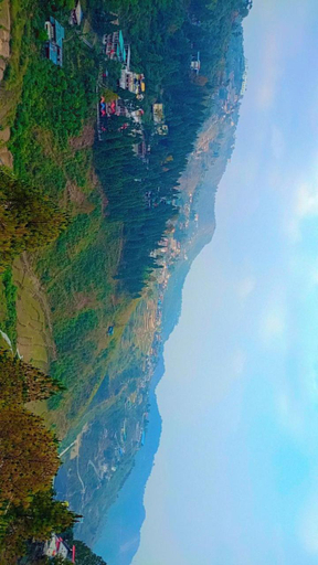 Others 2, The Pine Of Golden Home Stay, Dehradun