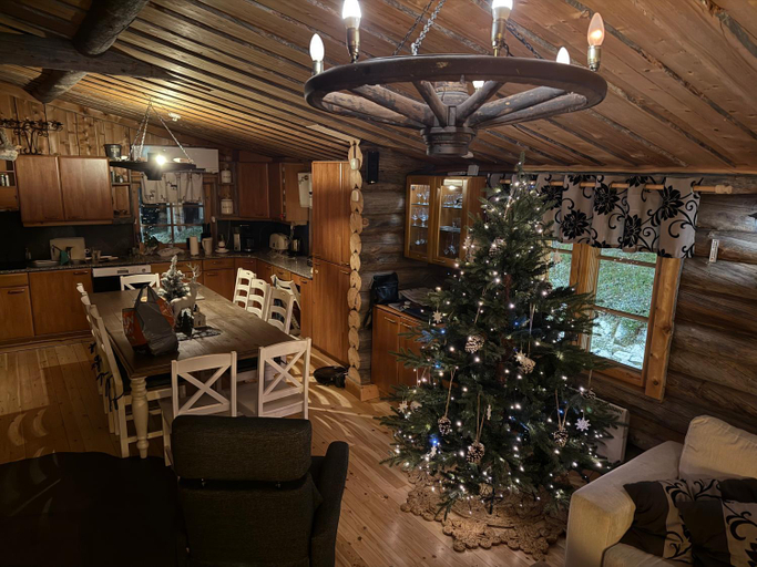 Food & Drinks, Ankkalinna, Lapland