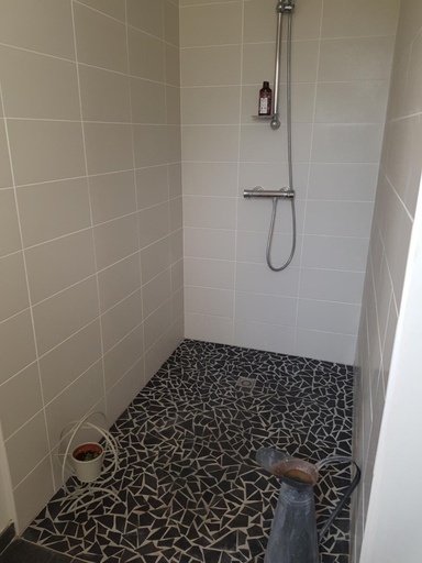 Shower, Myosotis, Gironde