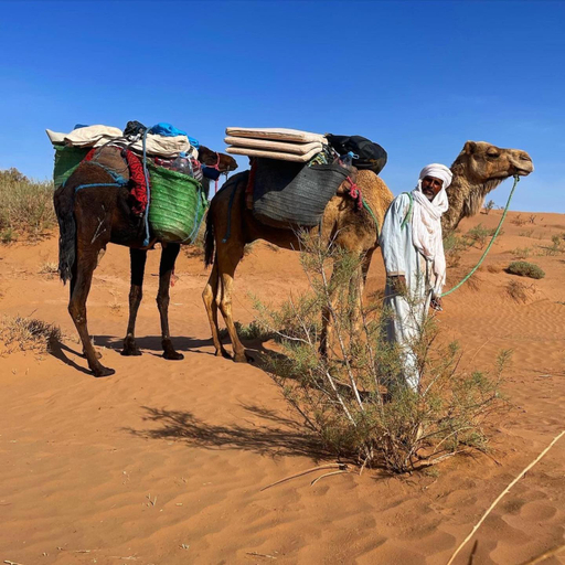 3, Sahara wild camping, Ouarzazate