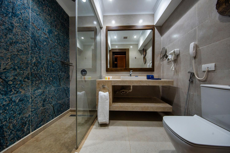 Bathroom 4, Retac Abu Simbel, Unorganized in Aswan
