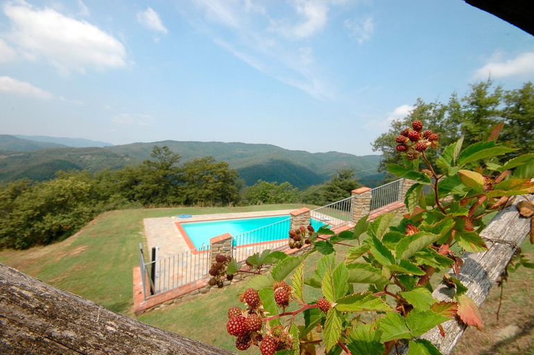 Surrounding environment 2, Agriturismo Badia Ficarolo, Arezzo