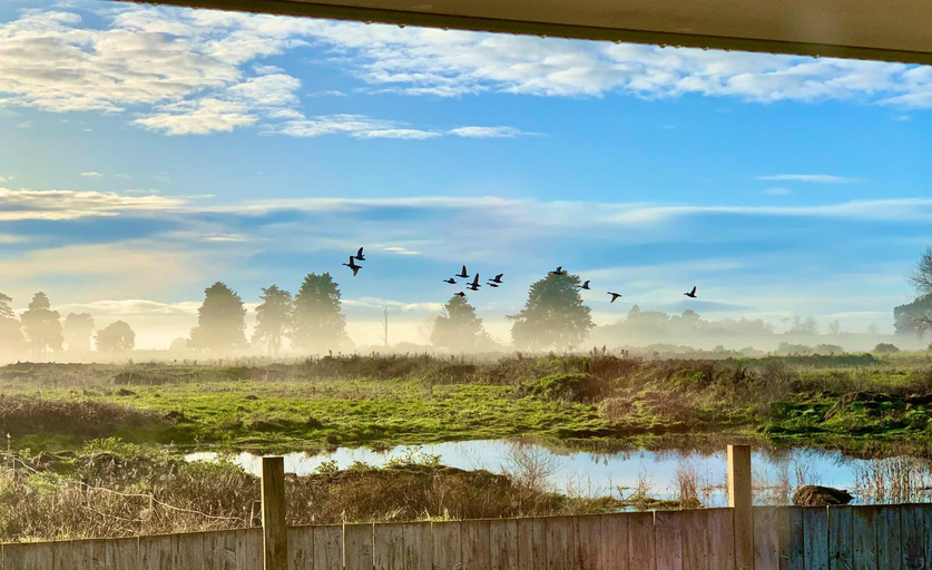 Others 5, Radiata Homestay, Waikato