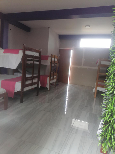 Others 5, Ayahuasca Hostel, Tambopata