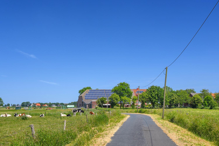 Others 4, Ferienhof Warfthof Becker, Wittmund