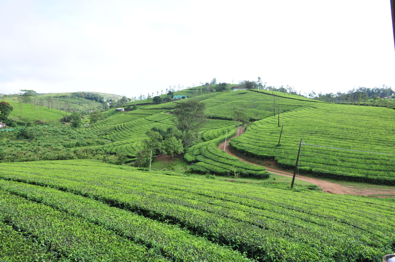 Others 4, Kudaram County Resort, Idukki