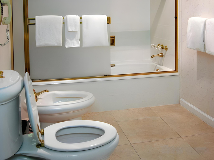 Bathroom 4, Beresford Arms Hotel, San Francisco