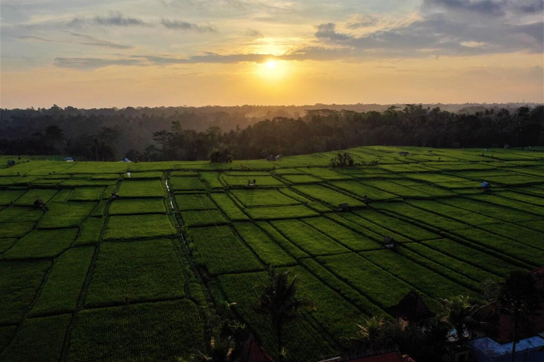 View 5, The Joglo at Umah Sunset, Gianyar
