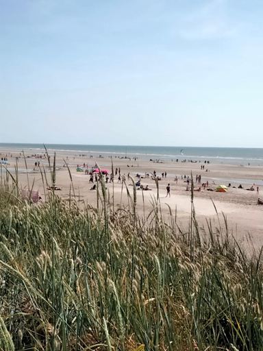 Others 5, Le grenier de Mamou, Pas-de-Calais