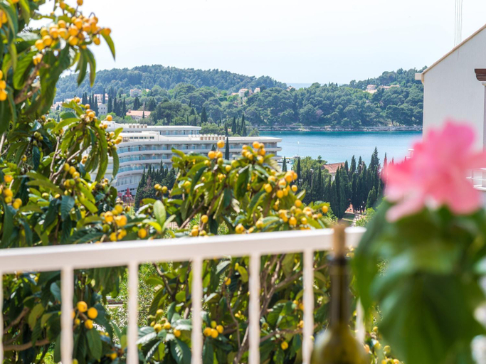 Others 5, Villa Bind - Superior Double Room with Patio and Garden View R2, Konavle