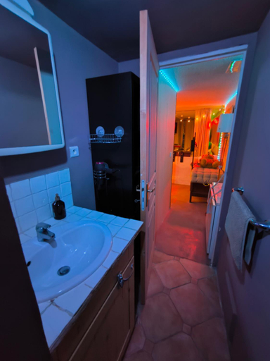 Bathroom 4, Love-room Discret 40 m2 Bormes les mimosas village avec Terrasse, Var