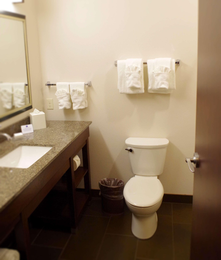 Bathroom 4, Best Western Plus Lincoln Inn & Suites, Lancaster