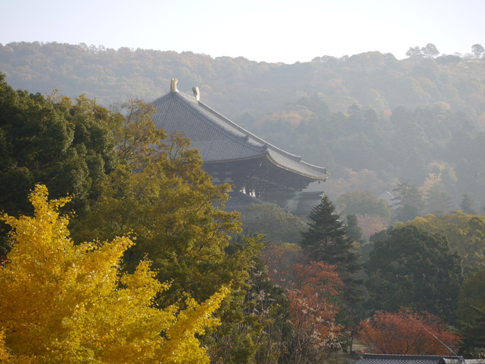 Exterior & Views 1, New Wakasa Annex Hotel, Nara