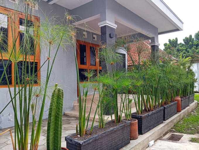 Others 4, Brojos Homestay Tamansiswo, Yogyakarta