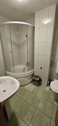 Bathroom 3, Pensiunea Flora, Cartisoara
