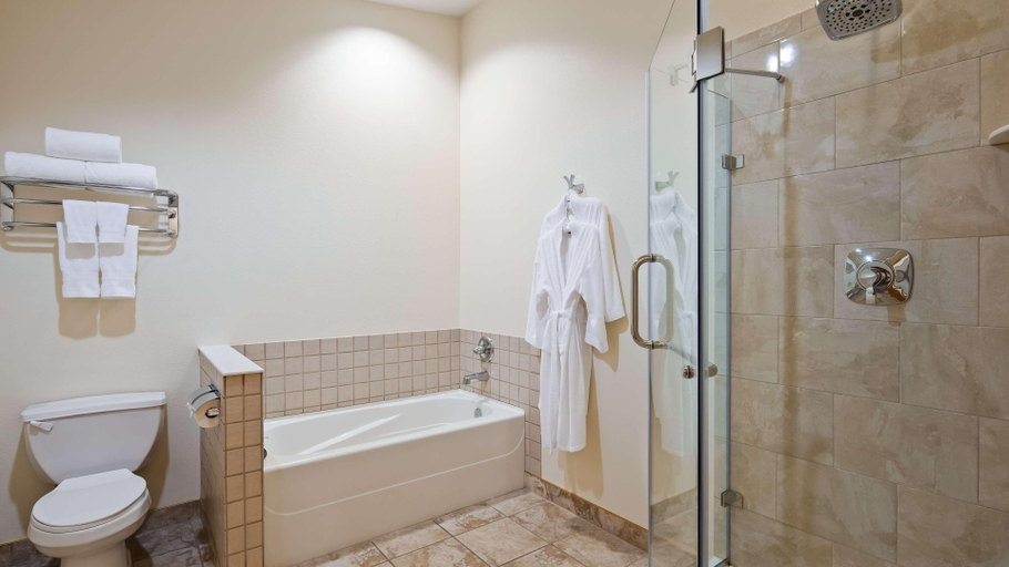 Bathroom 4, Best Western Lodge at River's Edge, Clearwater