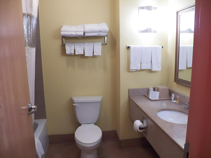 Bathroom 4, HomeTown Inn-Ringgold, Catoosa
