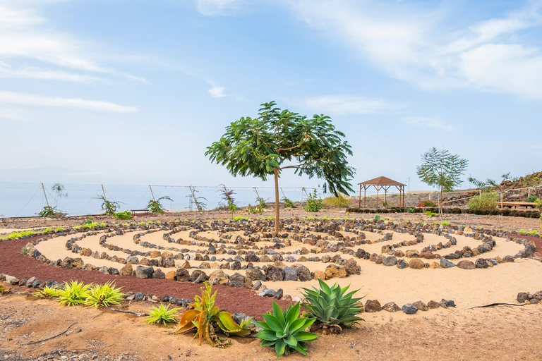 Others 4, Tenerife Healing Garden, Santa Cruz de Tenerife