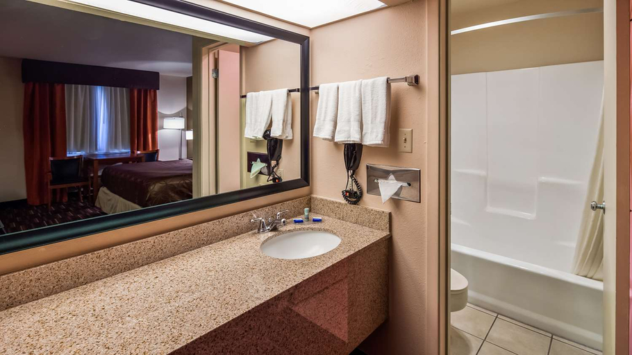 Bathroom 4, Best Western Executive Inn, Lea