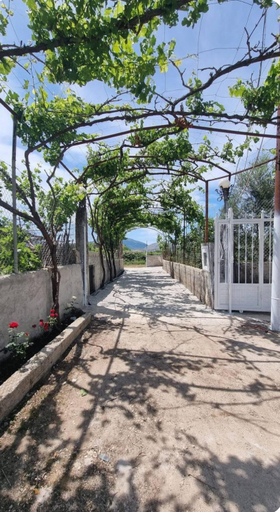 Others 3, BMT RESIDENCE, Delvinës