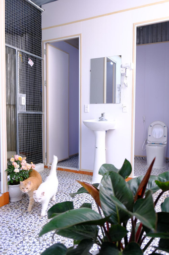 Others 5, Lazy Cat Homestay - Motorbikes Rental & Tours, Hà Giang