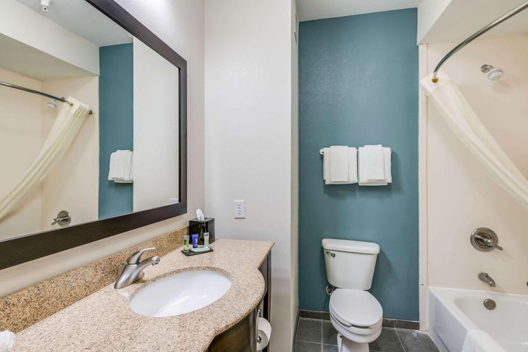 Bathroom 4, Sleep Inn Clovis, Curry