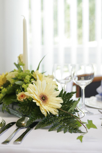 Food & Drinks 3, Seminar-Hotel Schulz, Celle