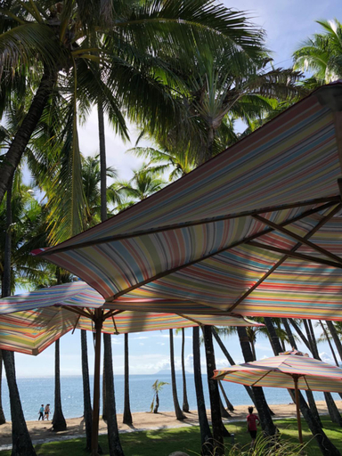 Food & Drinks, Villa Beach Palm Cove, Cairns