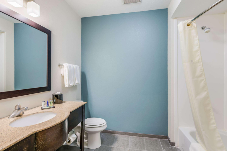 Bathroom 4, Sleep Inn Clovis, Curry